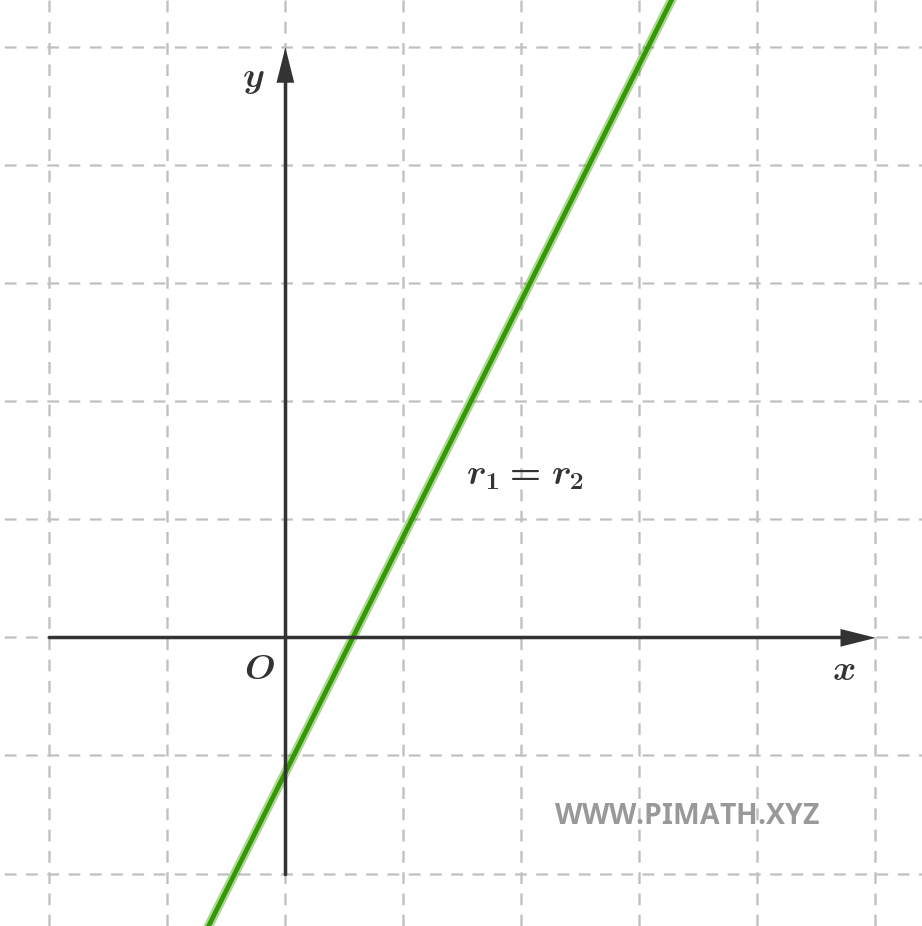 Grafico che Rappresenta due Rette Coincidenti
